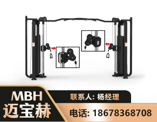 潜江大飞鸟训练器