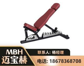 潜江可调哑铃椅